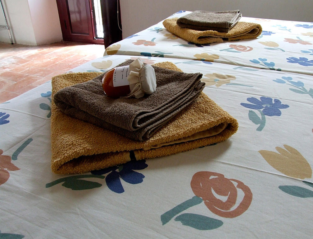 Cal Gras Hotell Avinyo Rum bild